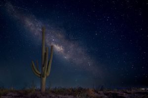 Milky Way & Saguaro, Tucson, Arizona
