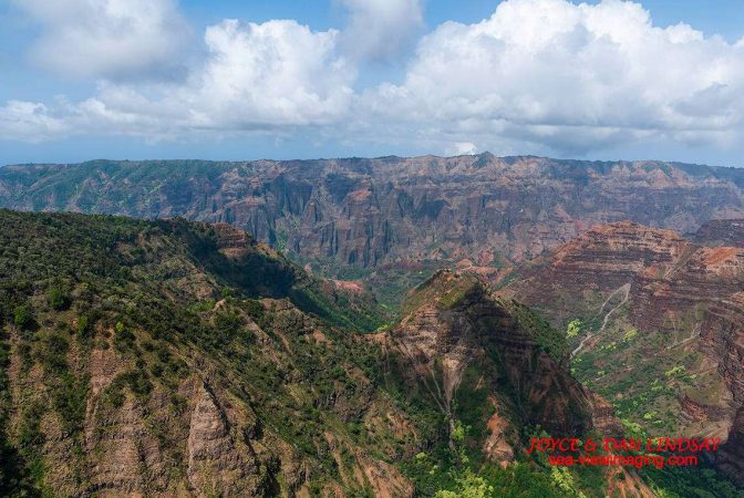 Waimea Canyon