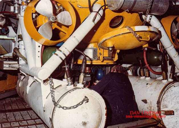 Rearview of the Arms IV - bottom hatch is open
