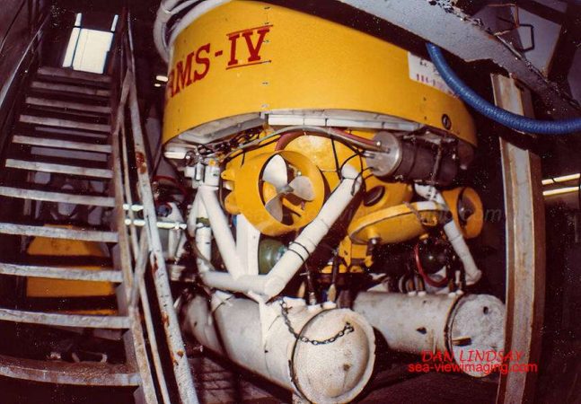 Rearview of the Arms IV