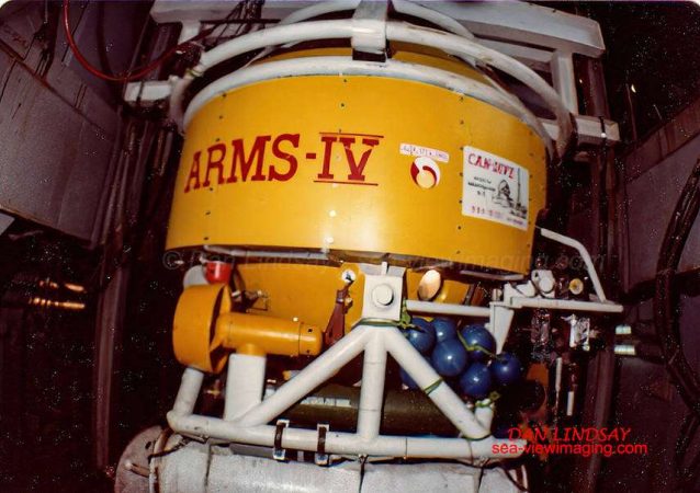 Arms IV