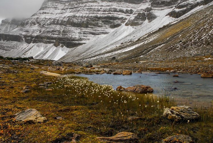 Canadian Rocky Mountain Hike