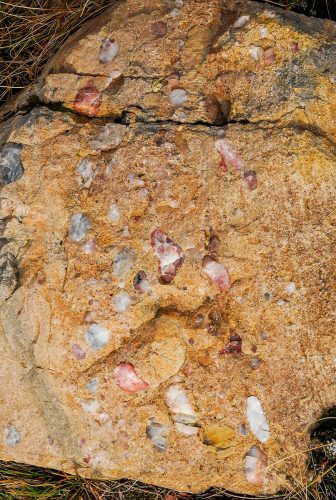 Conglomerate Rock