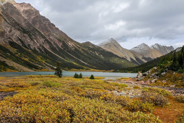Canadian Rocky Mountain Hike