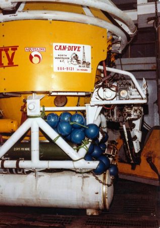Arms IV Submersible