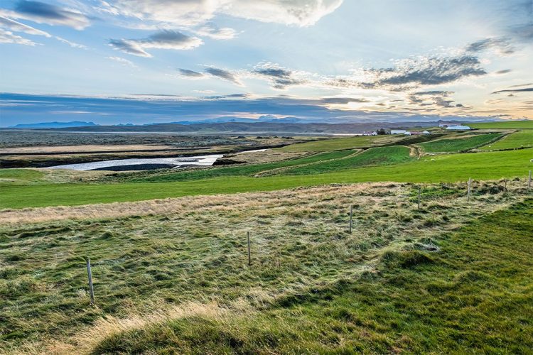 The sheep farm in front of our lodging for two days while exploring the highlands.