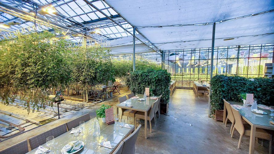 Lunch at Fridheimar Greenhouse, Iceland