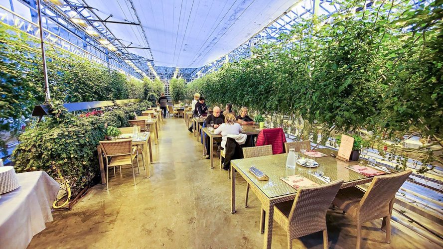 Lunch at Fridheimar Greenhouse, Iceland