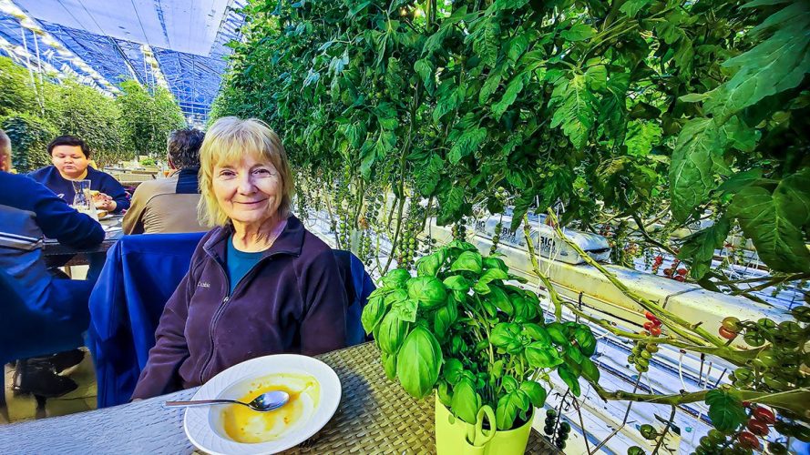 Lunch at Fridheimar Greenhouse, Iceland