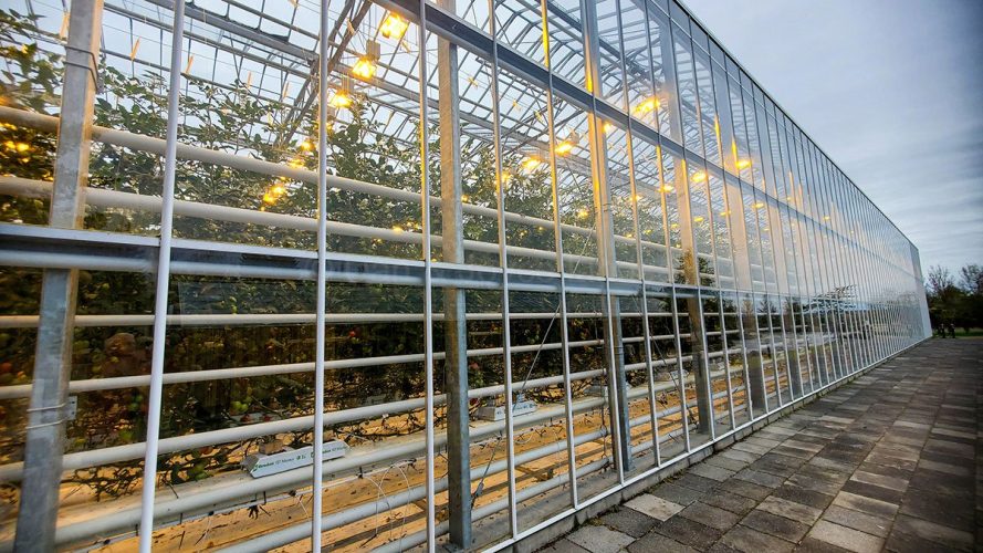 Fridheimar Greenhouse
