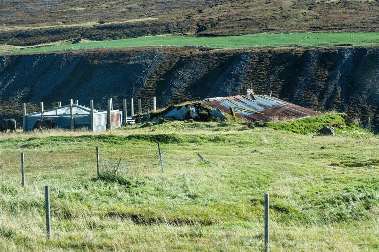 Typical East Iceland Agricultural Scene