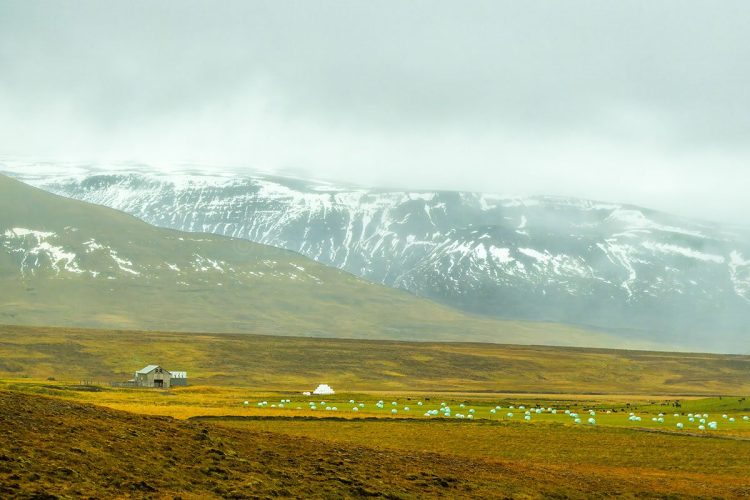 Farmland in Northwestern Iceland