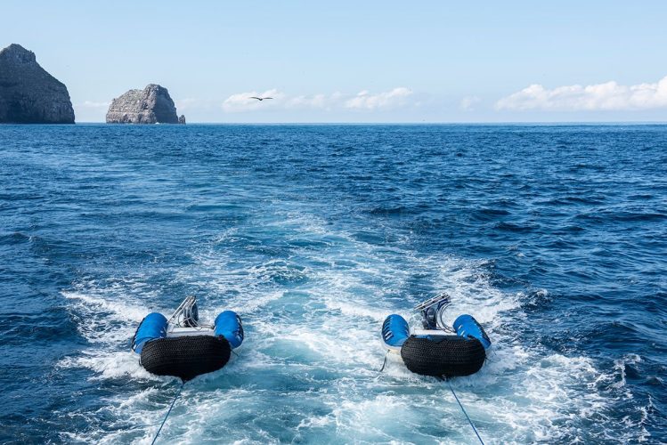 Two panga dive boats trail behind the Galápagos Master’s vessel Deep Blue as the crew moves to the next dive site. Pangas are essential for diver pickup and drop‑off in the Galápagos, where strong currents, surge, and remote entry points demand highly maneuverable support craft. Towing them between sites is a familiar sight in the archipelago’s dynamic waters, shaped by the cold Humboldt Current, the deep‑rising Cromwell Current, and the warm Panama Current that converge around these volcanic islands. Two inflatable panga dive boats being towed behind the Galápagos Master’s vessel Deep Blue on calm ocean waters between dive sites.
