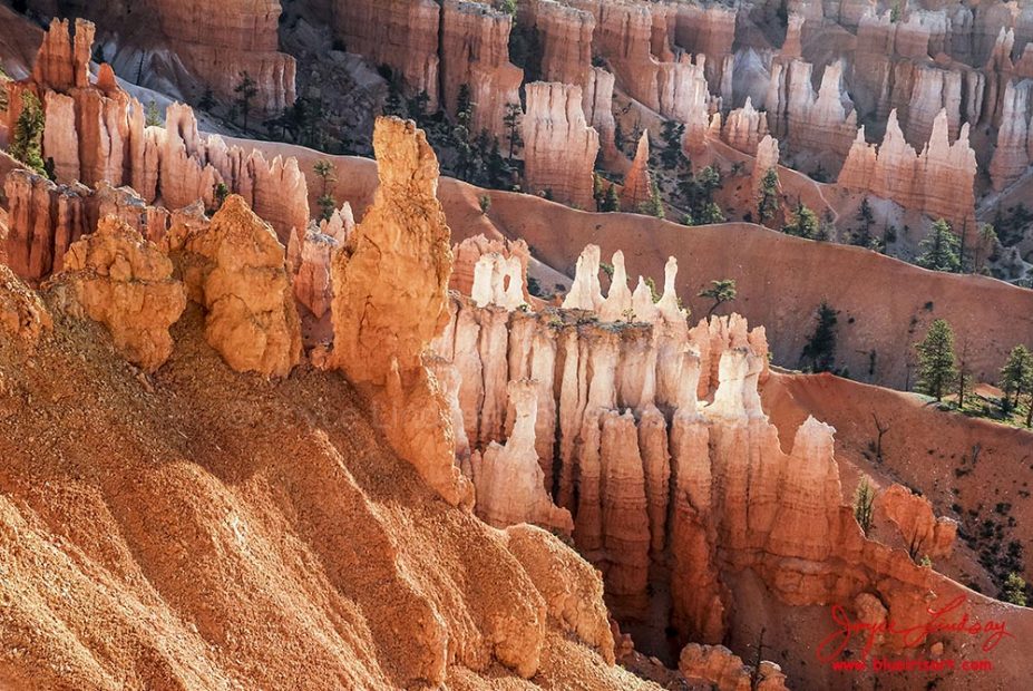 Bryce-11
