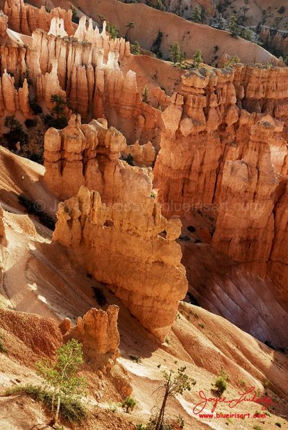Bryce-3