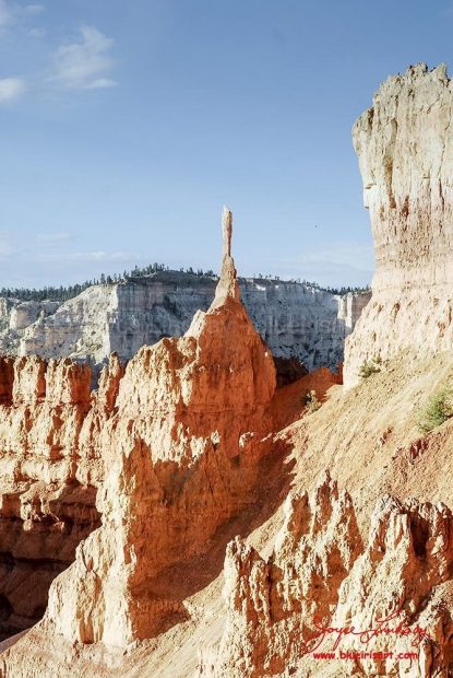 Bryce-4