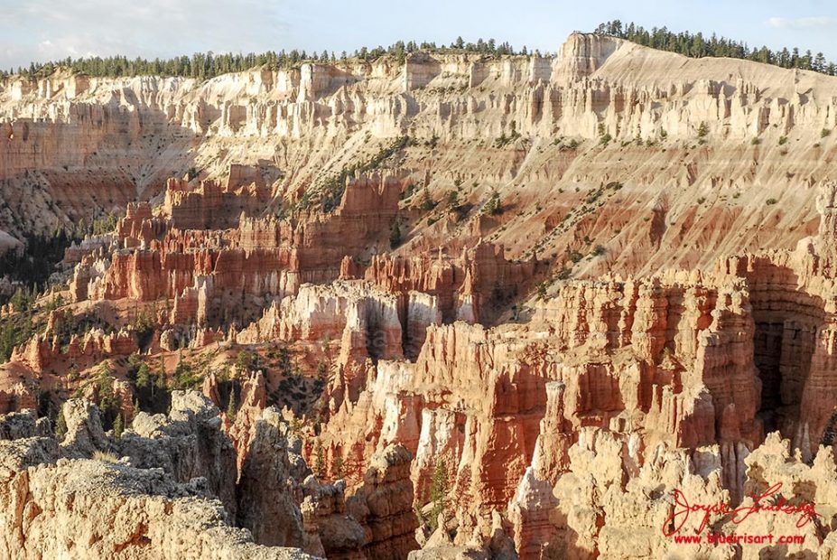 Bryce-5