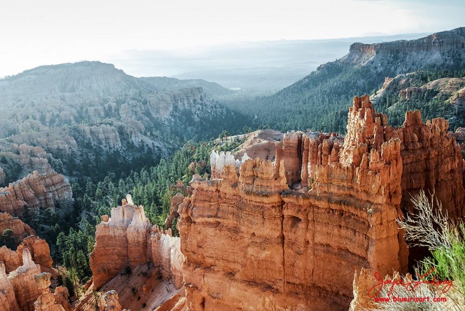 Bryce-8
