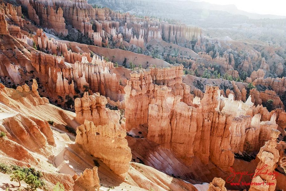 Bryce-9