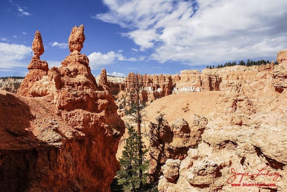 Bryce-Monuments-13