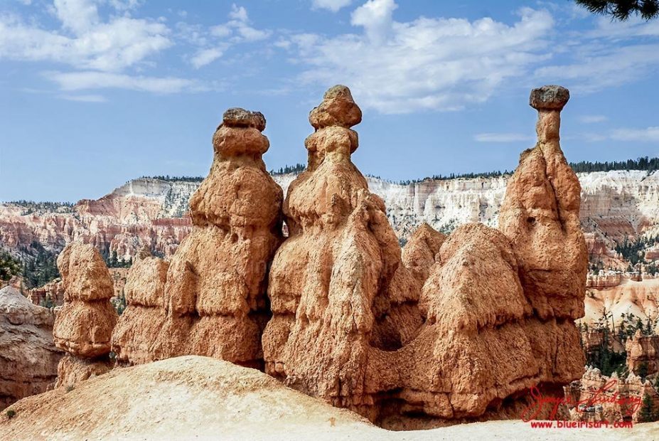 Bryce-Monuments-3