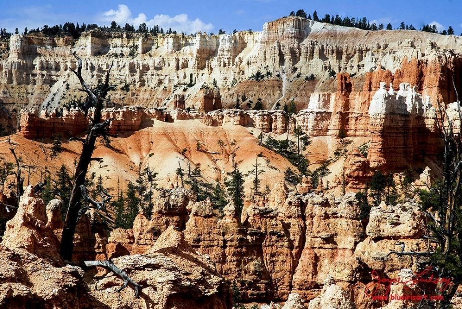 Bryce-Monuments-8