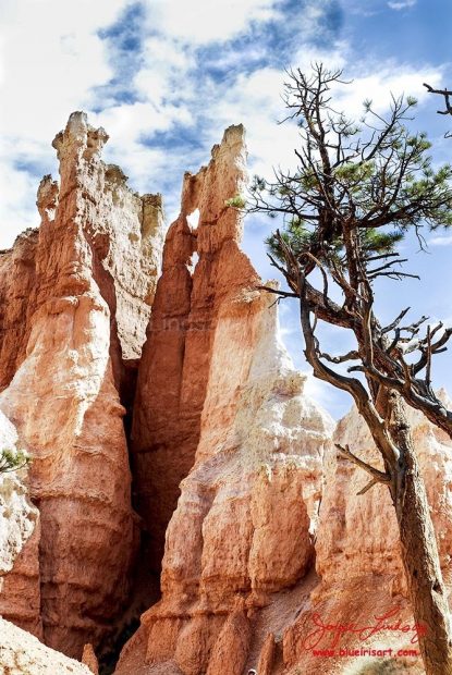 Bryce-Monuments-9