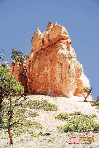 Canyon-Bryce-1