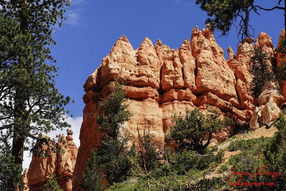 Canyon-Bryce-2
