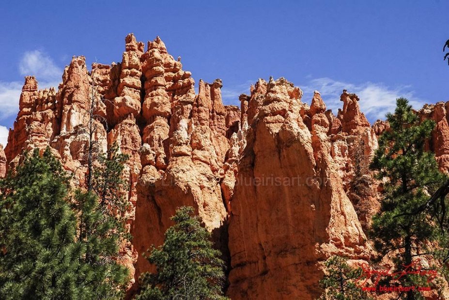 Canyon-Bryce-3