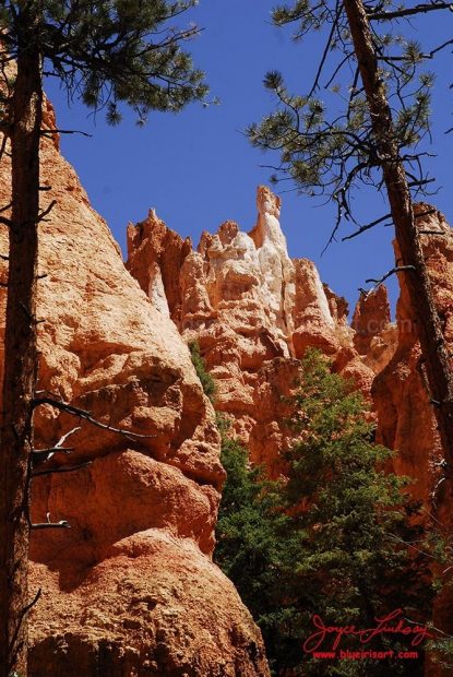 Canyon-Bryce-4