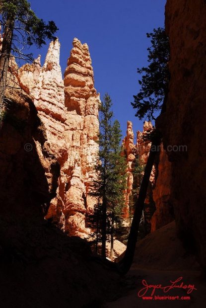 Canyon-Bryce-7