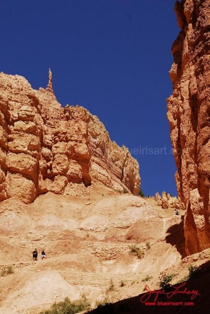 Canyon-Bryce-9