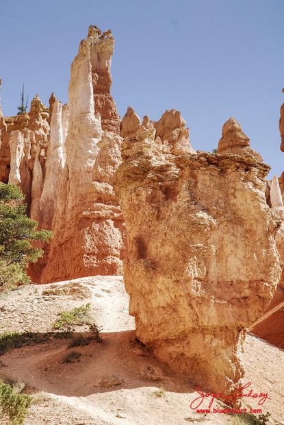 Canyon-Hoodoos-1