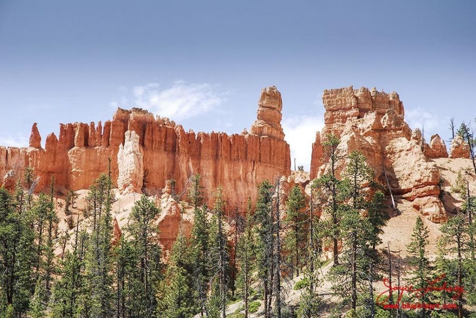 Canyon-Hoodoos-11