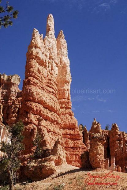 Canyon-Hoodoos-4