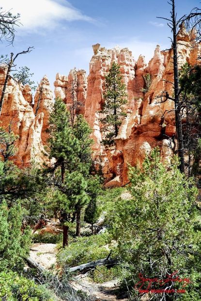 Canyon-Hoodoos-8