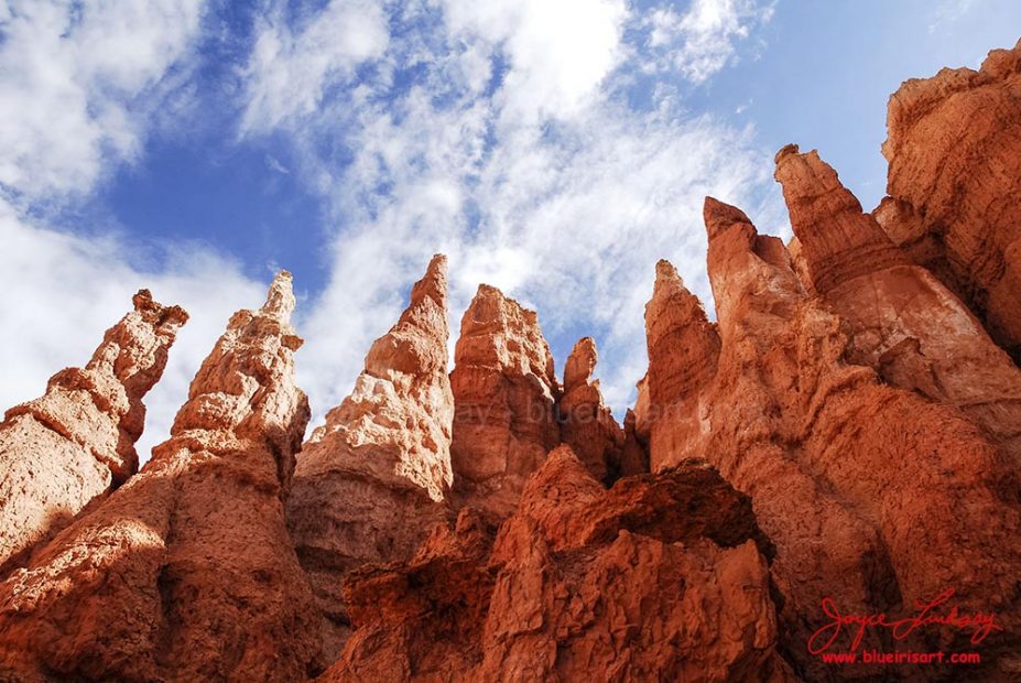 Hoodoo-Haven-1