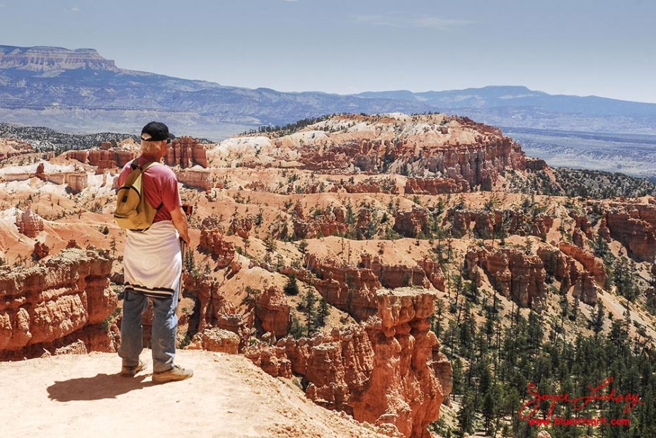 Hoodoos-11