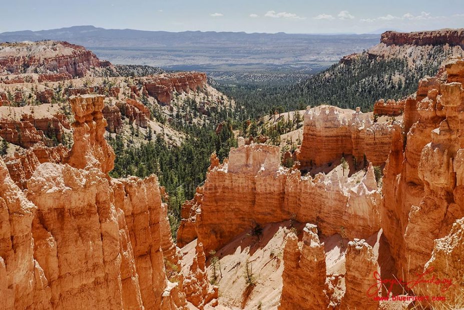 Hoodoos-9