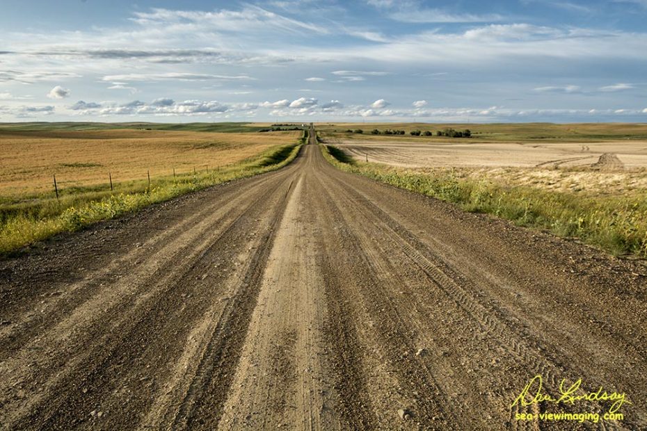 Montana