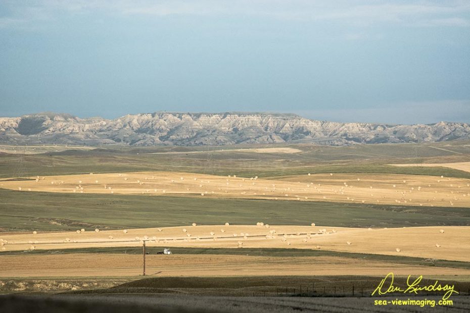 Montana